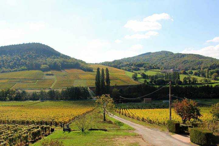 Location de vacances pour 6 personnes, avec jardin dans Bussières (Saône-et-Loire)