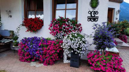 Ferienwohnung für 4 Personen in Haus, Schladming-Dachstein, Bild 3