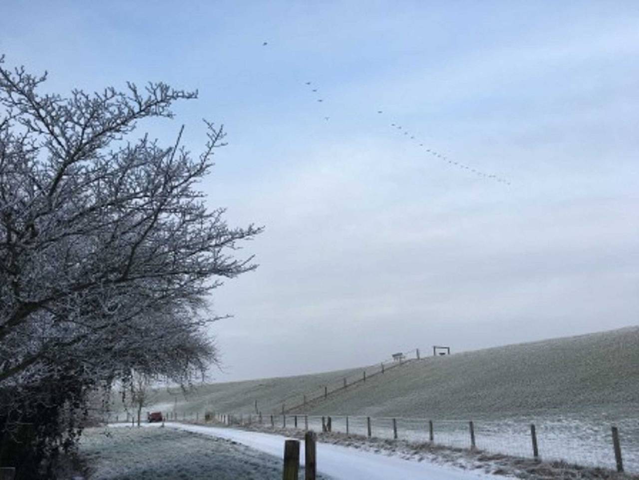 Ferienhaushälfte Fischerkate am Deich, 45069 - Ferienhaushälfte Fischerkate am Deich in Ditzum, Jemgum