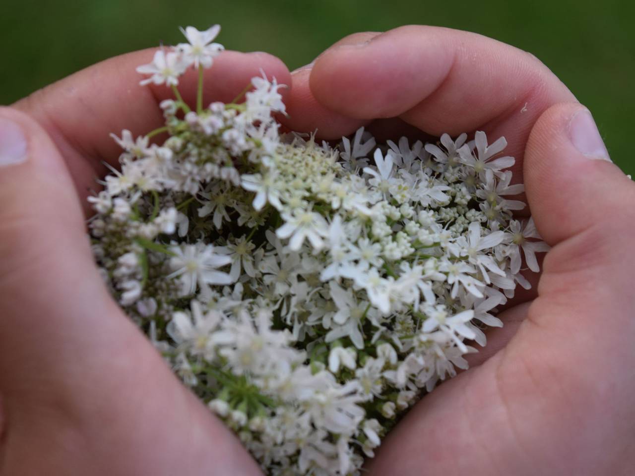 Ganze Wohnung, "Haus in der Einöde" in Bad Wurzach, Region Bodensee-Oberschwaben