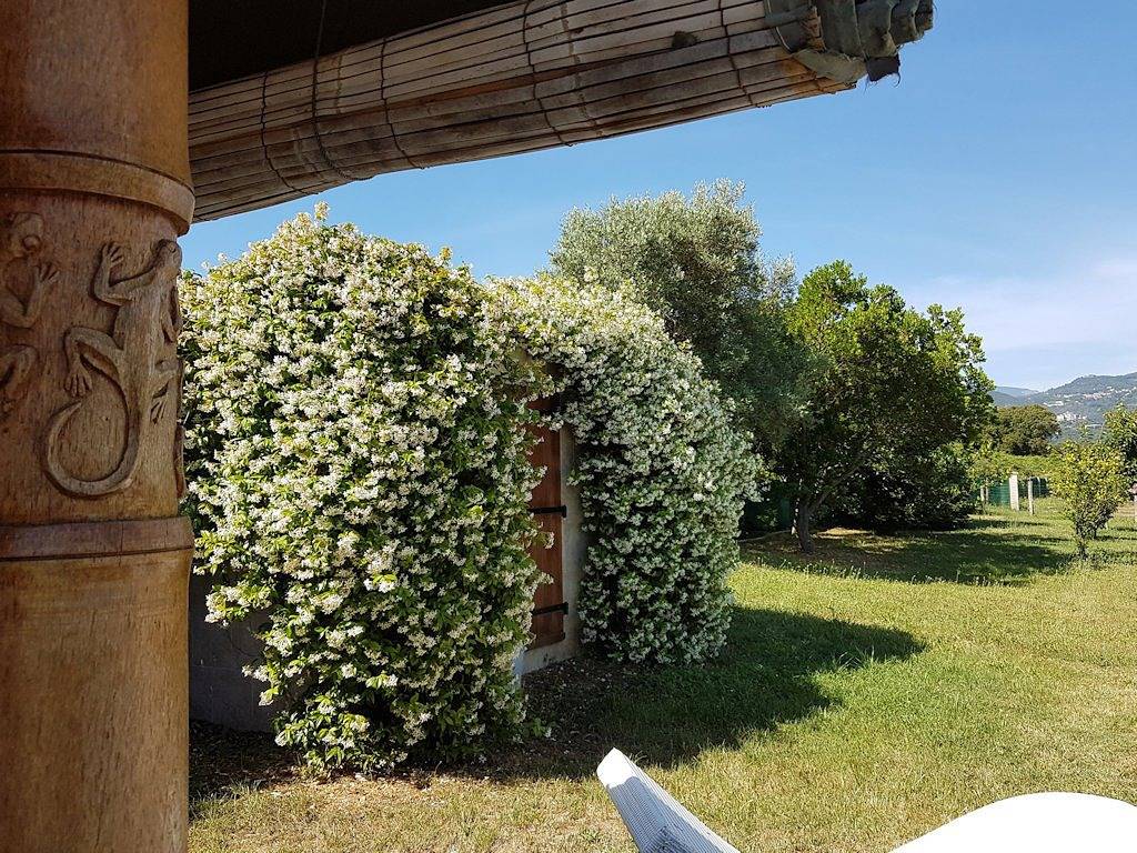 Domaine Monica di Sorbo - Gite I Columbella in Sorbo-Ocagnano, Arrondissement de Corte