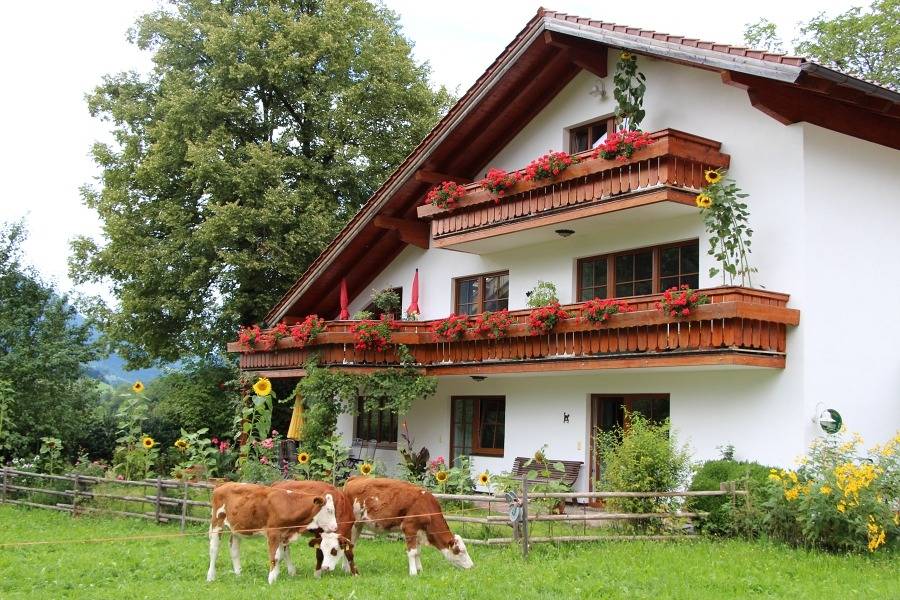 Ganze Ferienwohnung, Landhaus Heinrich inkl. Chiemgaukarte - Ii. Ferienwohnung 57qm, Terrasse, 1 Schlafzimmer, 1 Wohnschlafz., Hochfellnblick in Ruhpolding, Bayerische Alpen