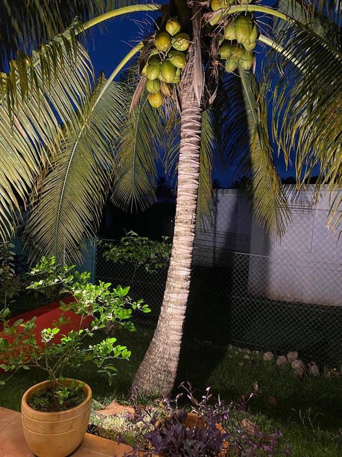 Chambre d’hôte pour 6 personnes, avec jardin ainsi que piscine et vue en Guadeloupe - 2