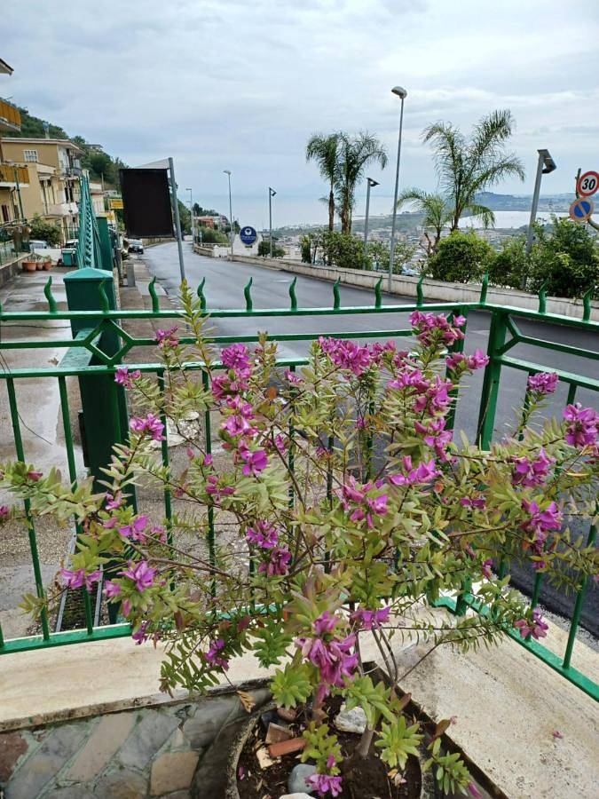 Appartamento intero, Villa Maria - Family House in Monte di Procida, Napoli e dintorni