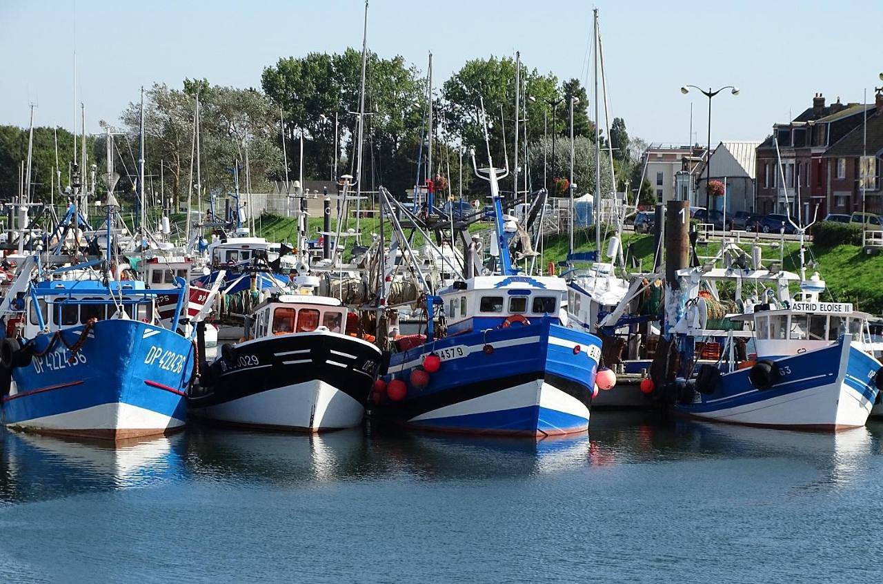 Voiles et Terrasses by Corinne Résidence face au port in Le Tréport, Région de Dieppe