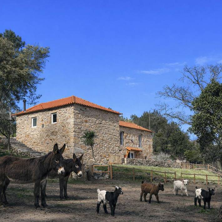 Gîte pour 6 personnes, avec vue ainsi que jardin et piscine, animaux acceptés