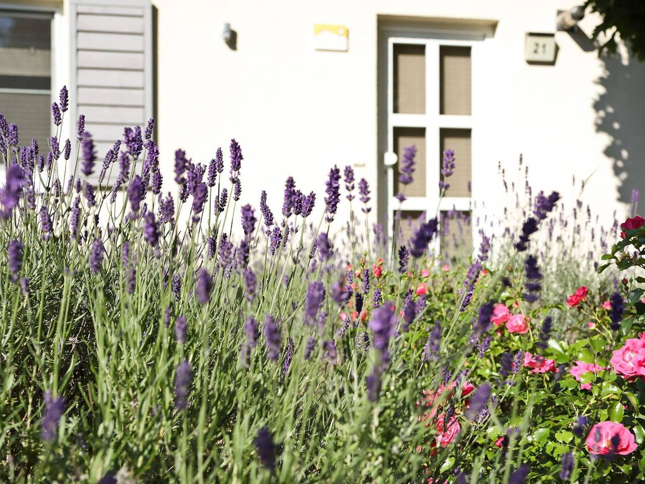 Ferienhaus Ahorn - Ferienhaus Ahorn in Göhren-Lebbin, Fleesensee