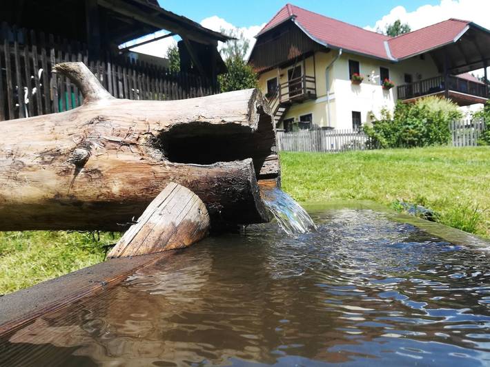 Ferienwohnung für 5 Personen, mit Garten, mit Haustier