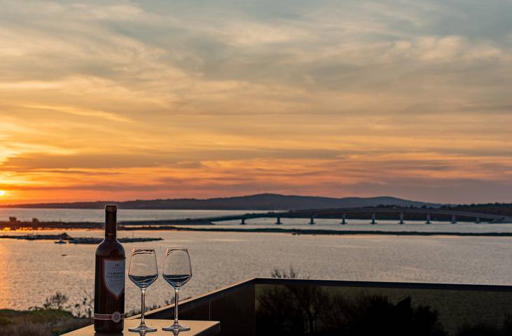 Villa für 10 Personen, mit Balkon/Terrasse und Pool in Privlaka