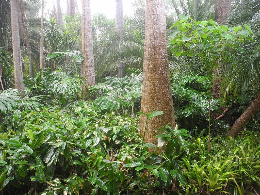 “Six Oaks” Wilderness Retreat in Sydney, Blue Mountains