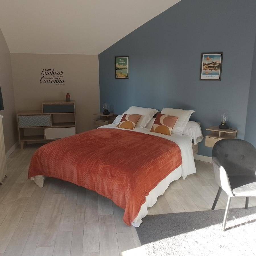Double Room with Private Bathroom in Amboise, Région de Tours