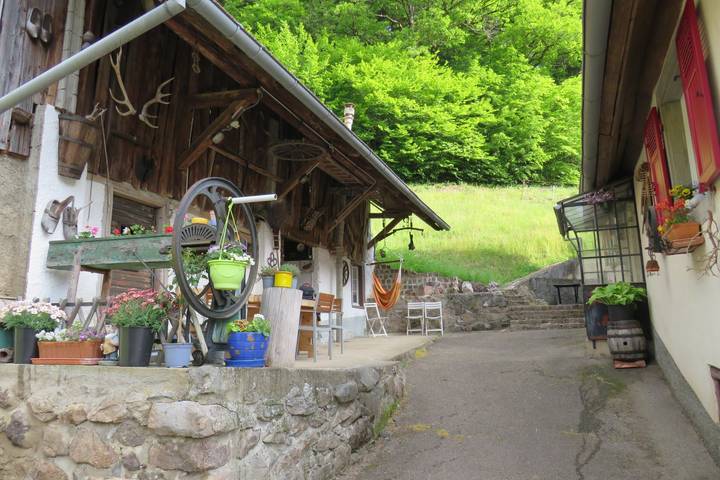 Gîte pour 2 personnes, avec jardin dans le Haut-Rhin - 2