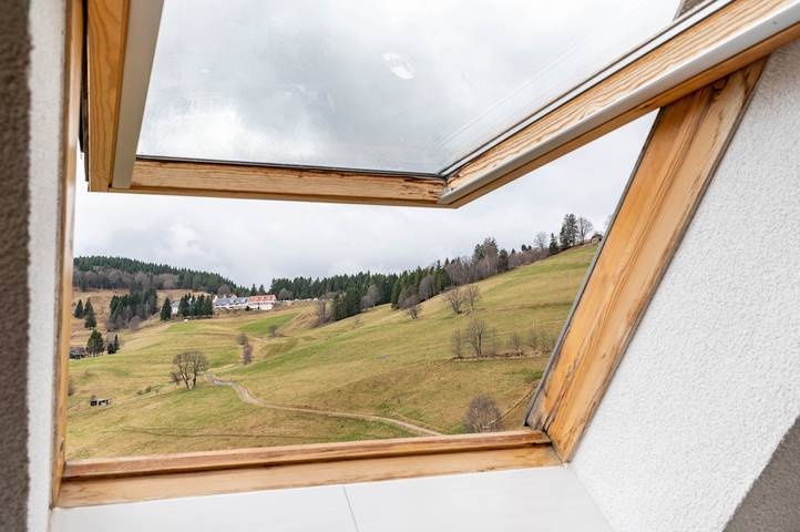 Gîte pour 2 personnes, avec jardin, animaux acceptés dans Todtnauberg (Todtnau) - 4