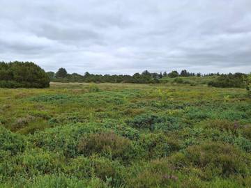 Ferienhaus für 6 Personen in Tarm, Dänemark an der Nordsee, Bild 4