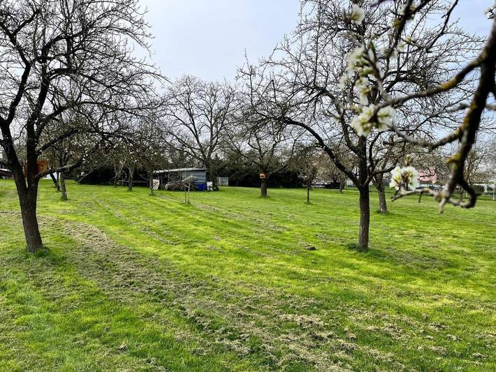 Location de vacances pour 7 personnes, avec jardin dans Zilling - 3