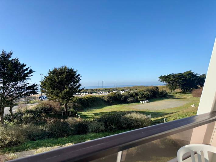 Studio for 4 people, with ocean view and terrace, with pets - 1