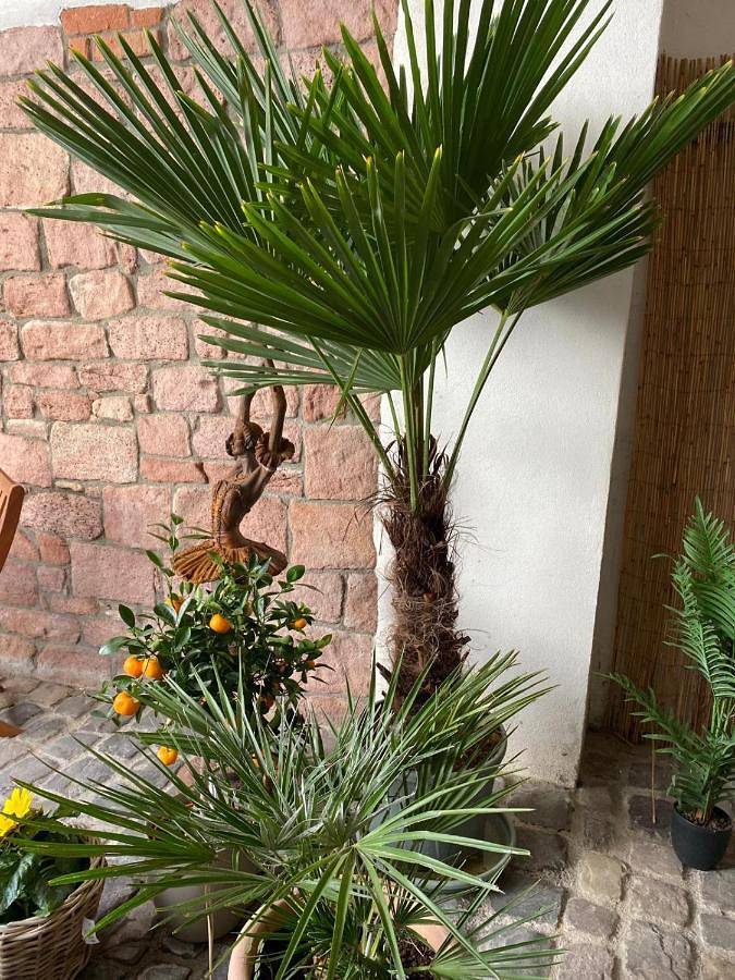 Ferienwohnung für 2 Personen in Edenkoben