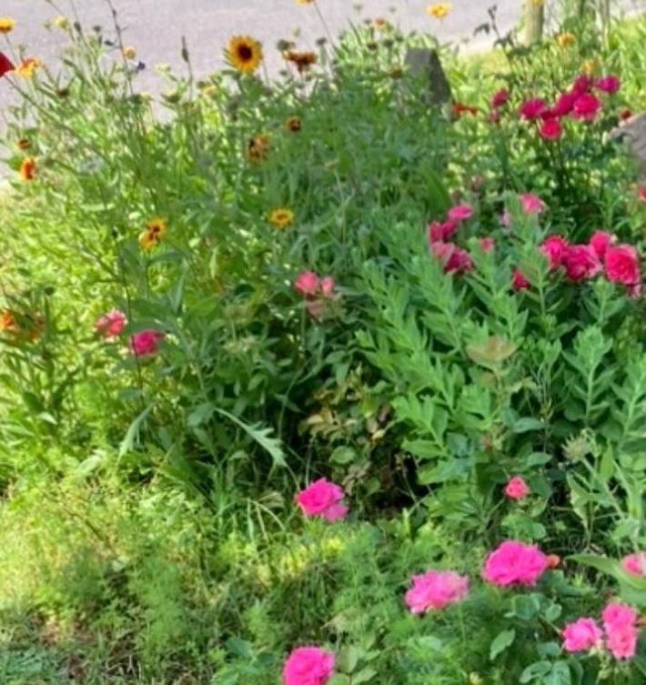 Location de vacances pour 8 personnes, avec jardin et sauna à Marchin - 4