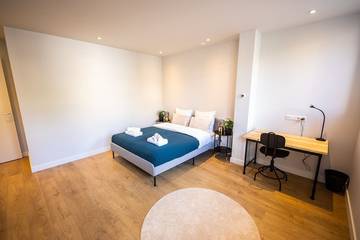 Vakantieappartement voor 3 Personen in Rotterdam, Zuid-Holland, Afbeelding 3