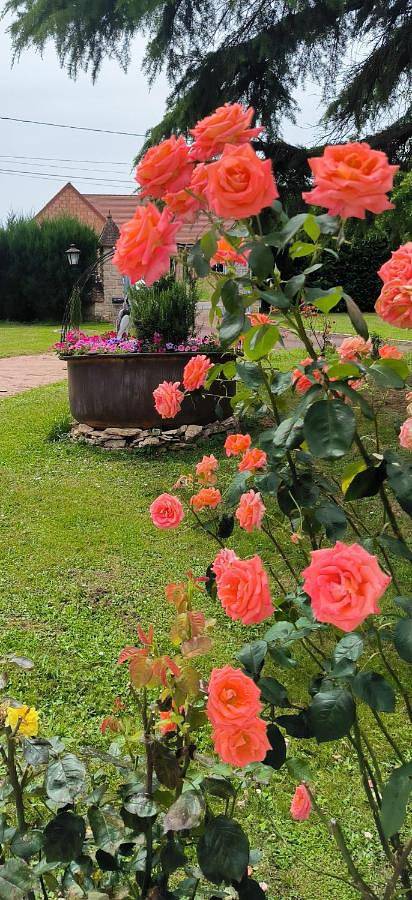 Gîte pour 4 personnes, avec jardin et vue à Chaudenay - 4