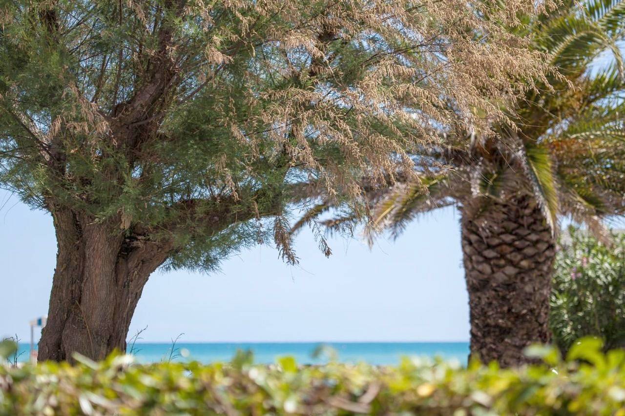 Ganze Wohnung, Casa Prima Fila Mare in Porto San Giorgio, Fermo Provinz