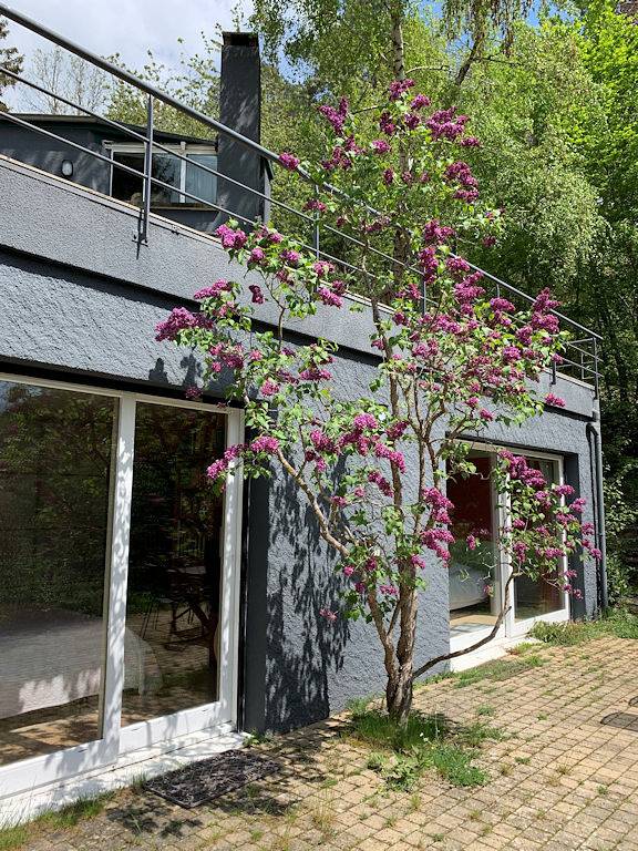 Gîte pour 6 personnes, avec terrasse et jardin à Aydat - 3