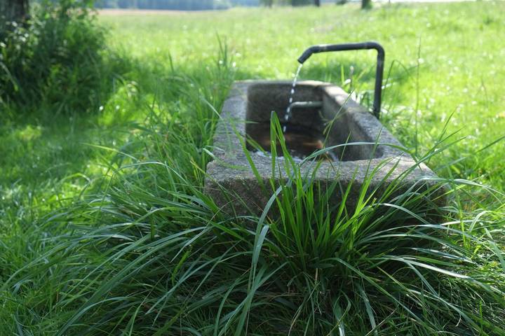 Ferienhaus für 4 Personen, mit Garten und Balkon, kinderfreundlich in Naturpark Oberpfälzer Wald - 4
