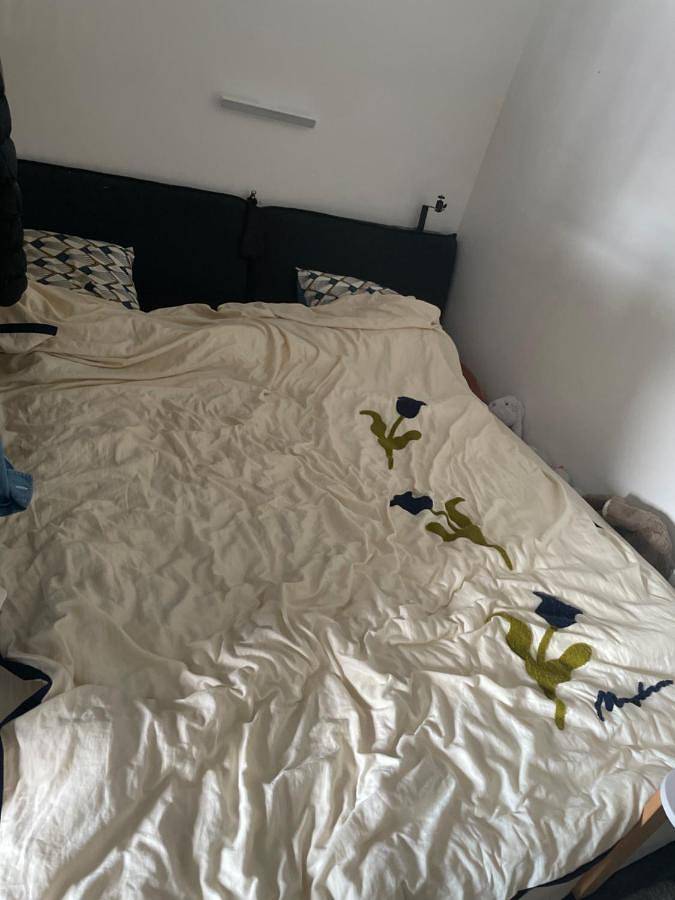 Gîte pour 3 personnes, avec jacuzzi à Montigny-le-Bretonneux - 3