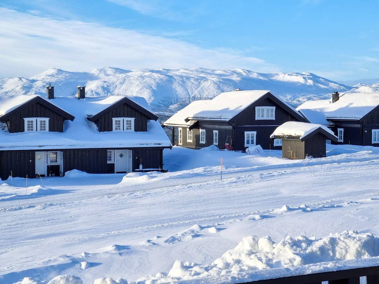 9 Personen Ferienhaus in Rauland in Vinje