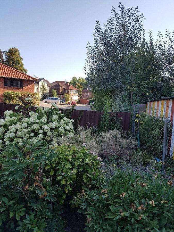 Ferienhaus für 8 Personen, mit Terrasse und Garten, mit Haustier in Lüneburg und Umgebung - 4