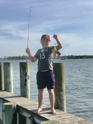 Cottage for 4 Guests in Greenport West, North Fork, Picture 1