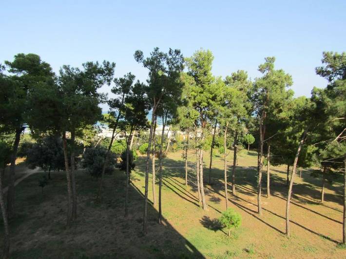 Appartamento per 6 persone, con Balcone e Terrazza nonché Panorama a Montesilvano