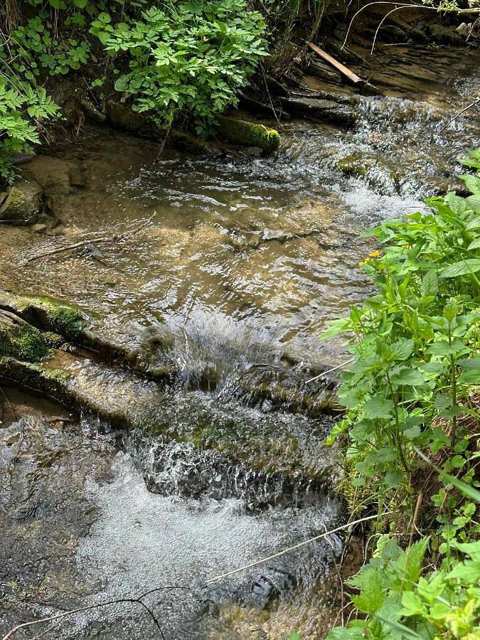 Domki letniskowe pod Brzozami Stella in Karpaty (Polska)