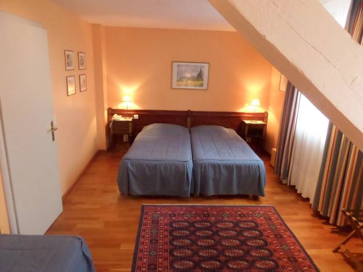 Hôtel pour 2 personnes, avec terrasse et vue, animaux acceptés à Phalsbourg - 4