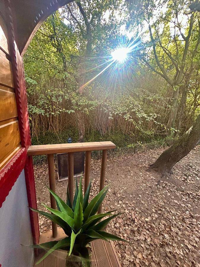 Tente pour 2 personnes, avec jardin ainsi que vue et piscine dans les Bouches-du-Rhône - 4