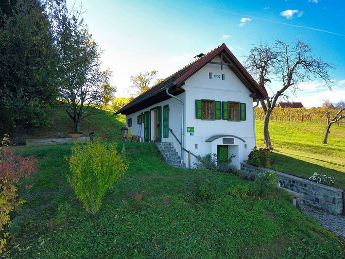 Ferienhaus für 4 Personen, mit Garten und Ausblick im Burgenland