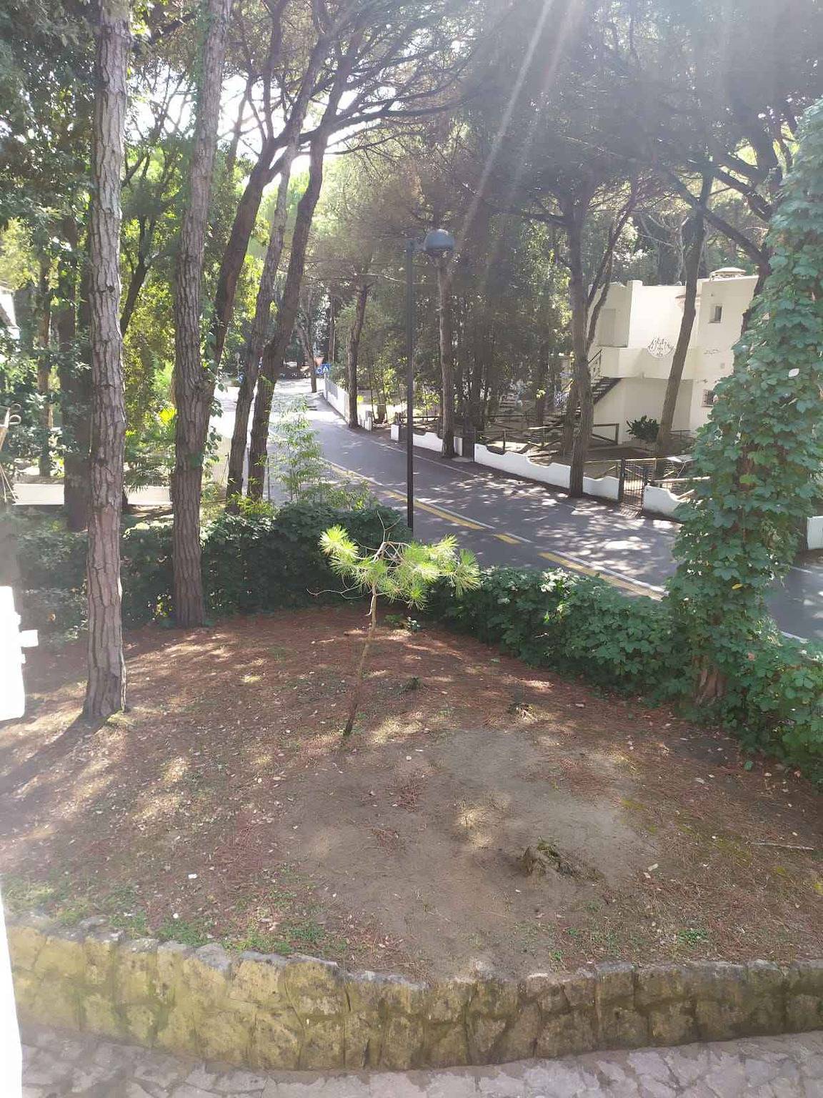 Ferienhaus mit Pool für 6 Personen  in Rosolina Mare, Polesine