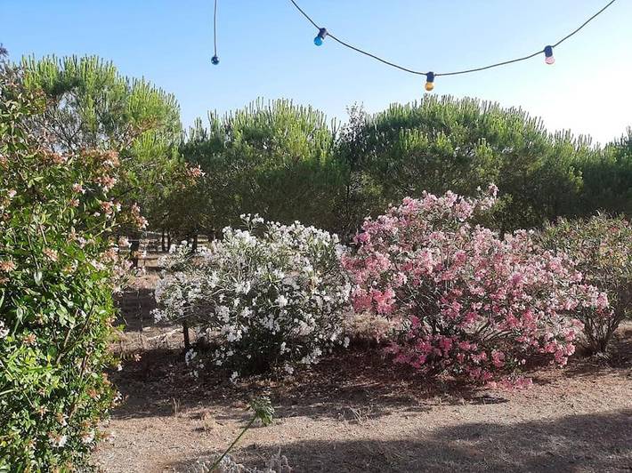 Location de vacances pour 4 personnes, avec vue ainsi que jardin et terrasse à Melides - 3