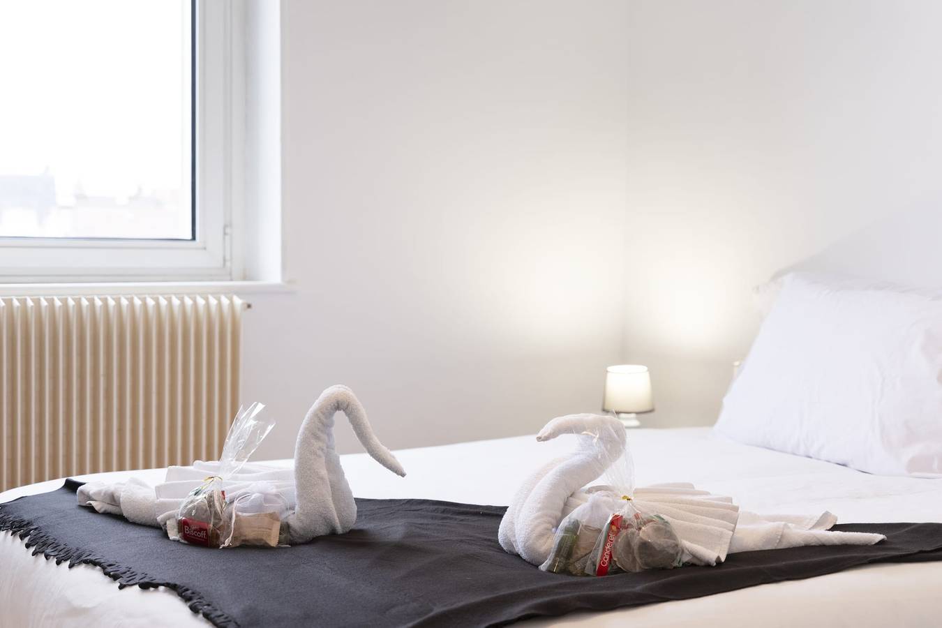 Appartement entier, Hôtel des cousines - Lana in Nancy, Région de Nancy