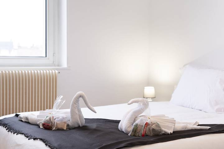 Ganze Wohnung, Hôtel des Cousines – Lana Apartment in Nancy, Nancy und Umgebung