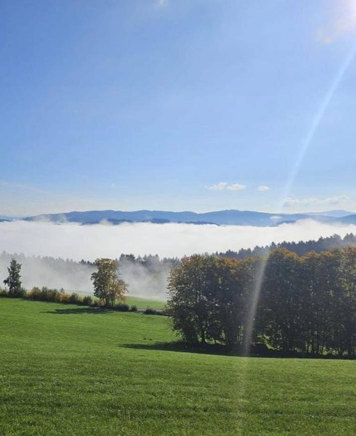 Ferienhaus für 5 Personen, mit Balkon und Balkon/Terrasse, mit Haustier in Lam - 4