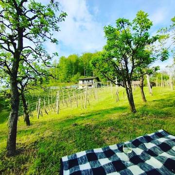 Ferienhaus für 4 Personen, mit Terrasse und Ausblick in Slowenien