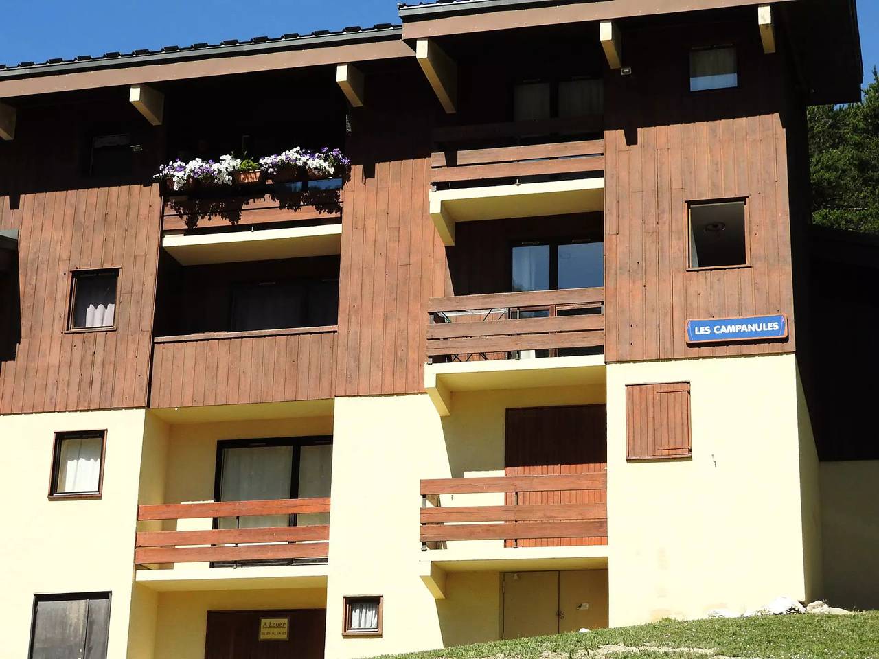 Gehele studio, Ca27Fb-Campanules in La Norma, Villarodin-Bourget