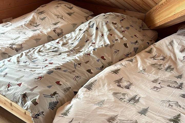 Chalet pour 14 personnes, avec Jacuzzi à Saint-François-Longchamp - 3
