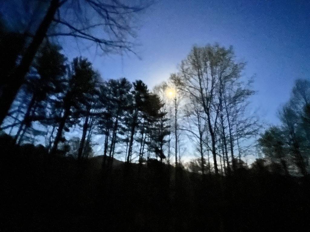 Log Cabin for 4 Guests in Fontana Lake, Swain County