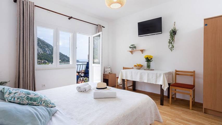 Studio dla 2 osób, z widok, zwierzęta dozwolone w Gradac