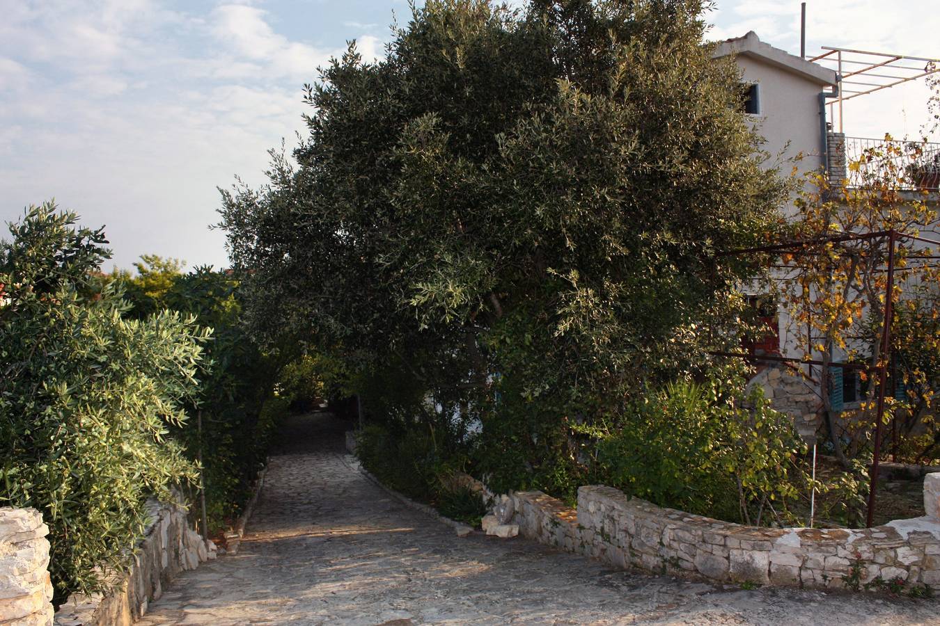 Ganze Wohnung, 3-Zimmer-Ferienwohnung mit Balkon und Meerblick Maslinica, Solta A-5176-a in Maslinica, Solta