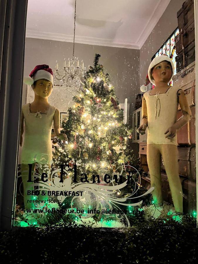 Chambre d’hôte pour 2 personnes, avec sauna ainsi que jacuzzi et terrasse à Bruges - 2