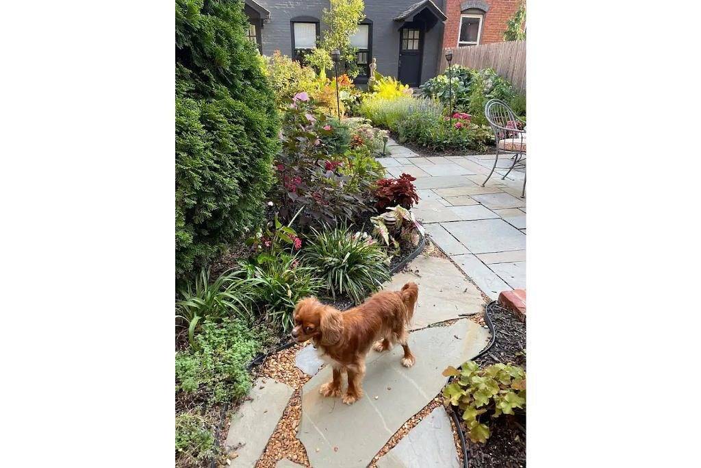 Tranquil In-Town Garden Carriage House, No pet fee in Cincinnati, Hamilton County (OH)