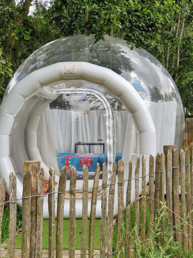 Gîte pour 2 personnes, avec jacuzzi ainsi que jardin et terrasse à Zedelgem - 2